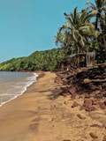 a sandy beach next to the ocean with palm trees