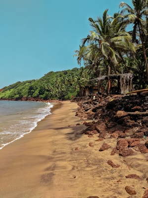 a sandy beach next to the ocean with palm trees