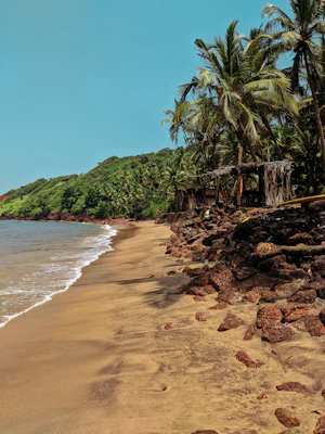 Sri Lankan Food Guide