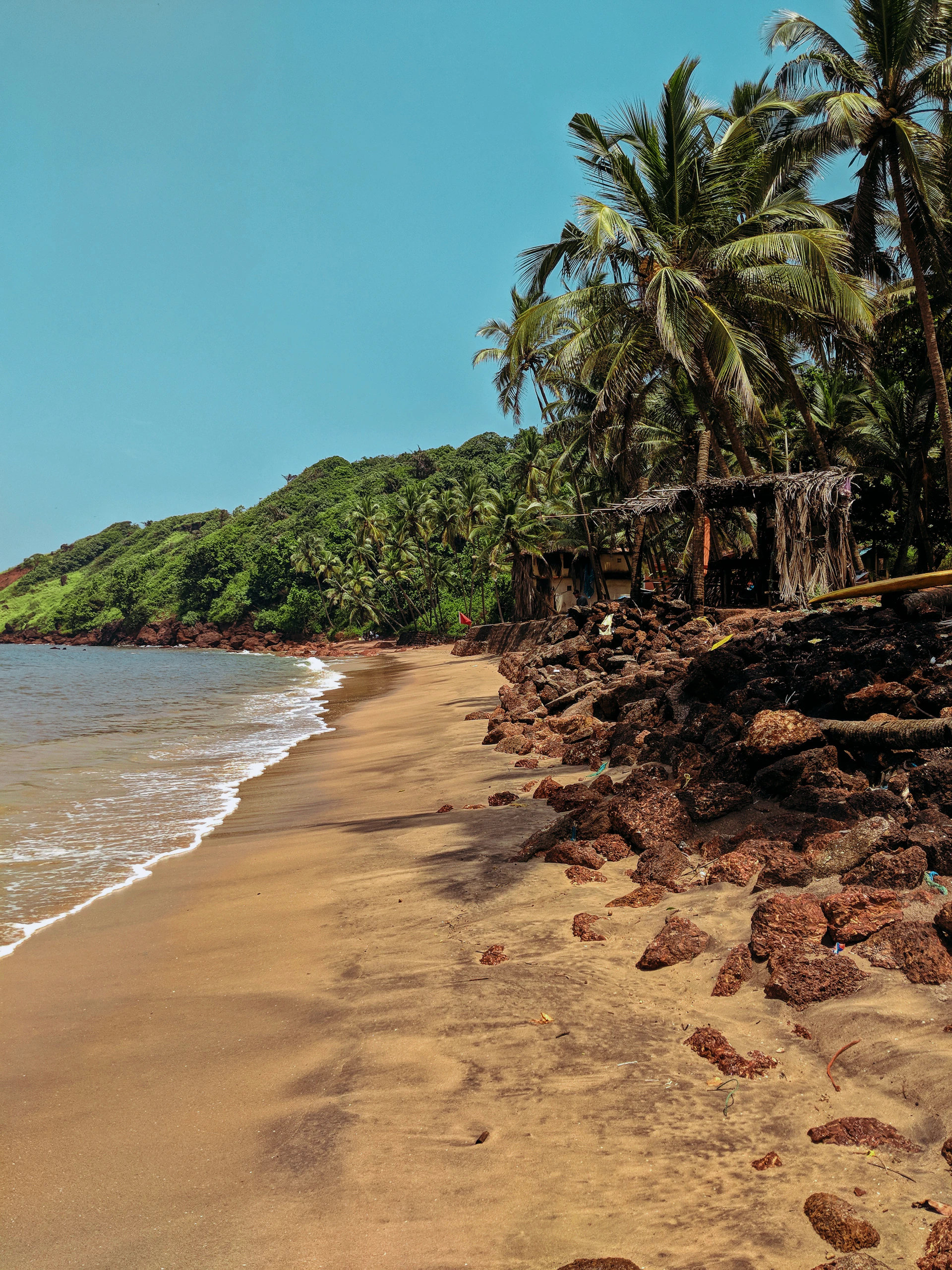 a sandy beach next to the ocean with palm trees