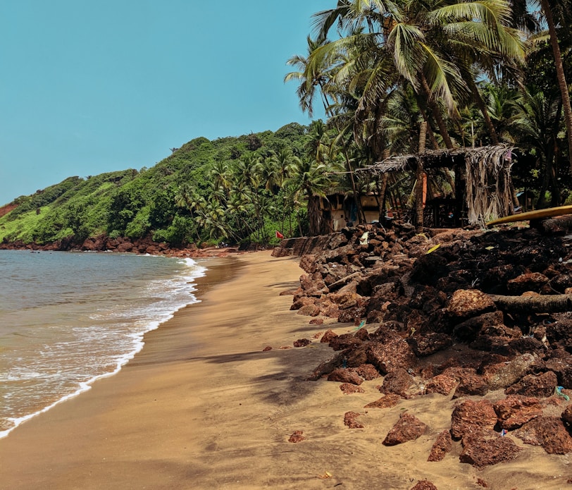 a sandy beach next to the ocean with palm trees