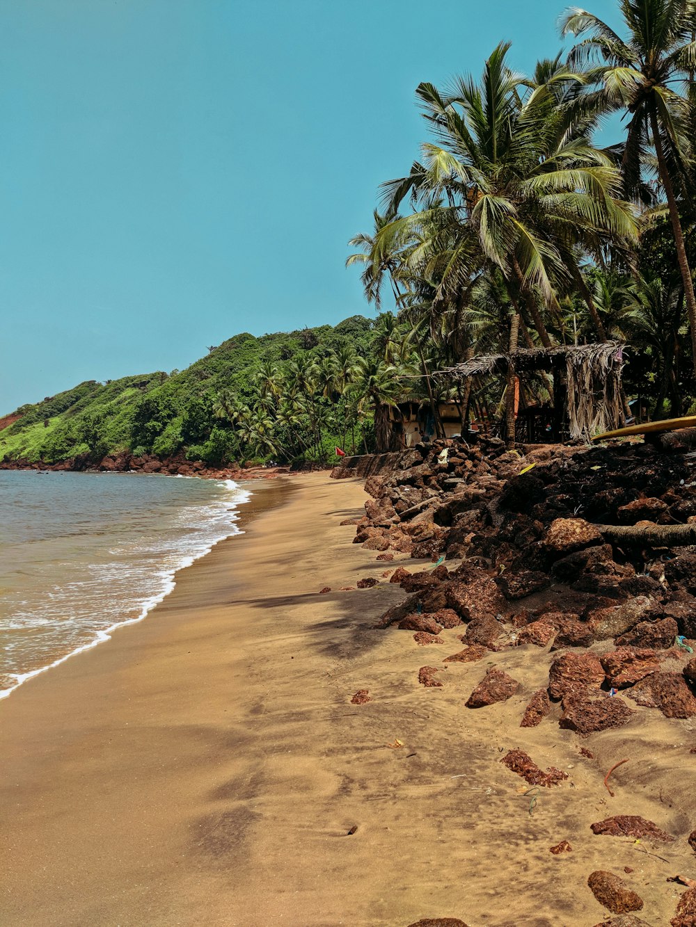 uma praia de areia ao lado do oceano com palmeiras