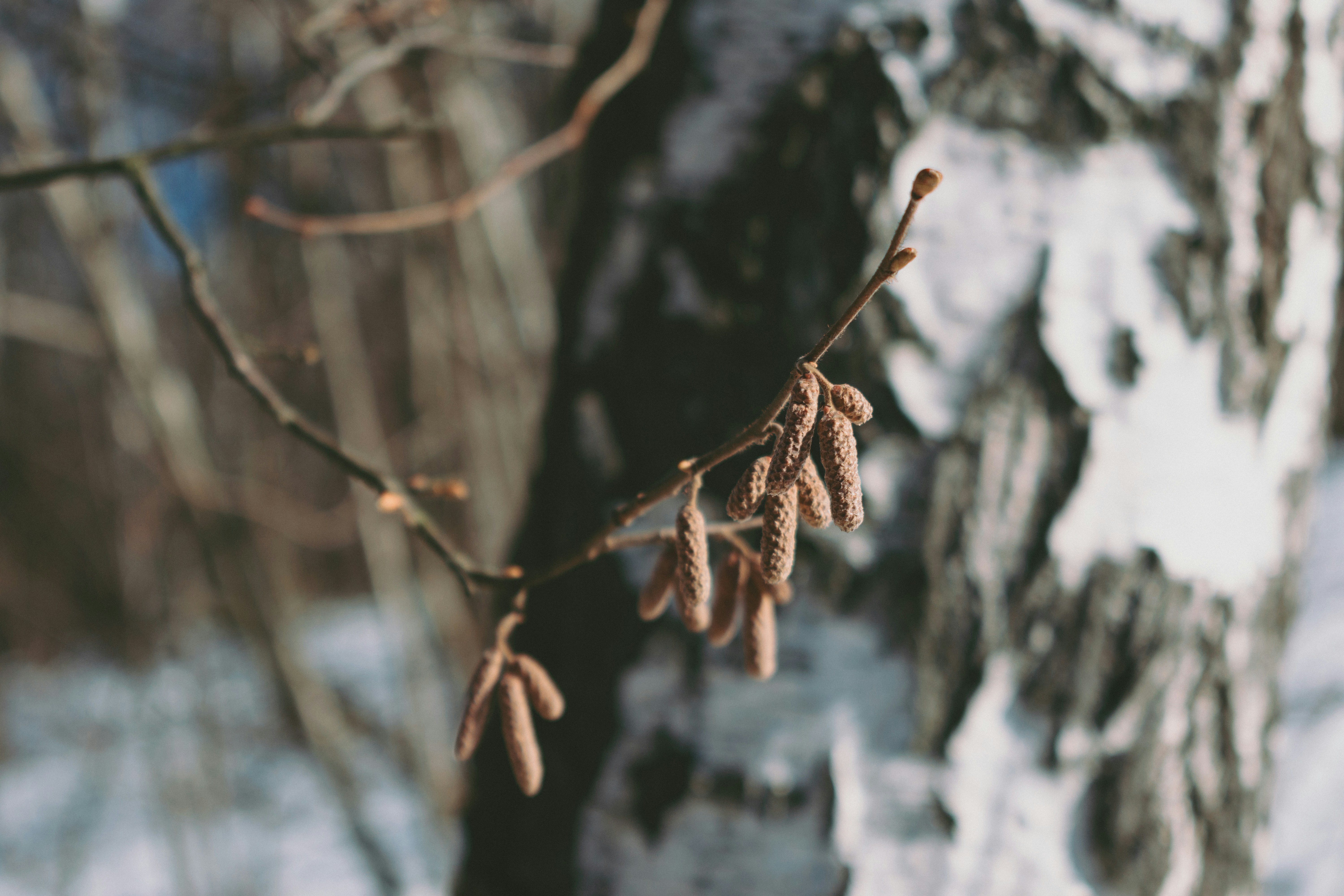 Photo by vlad_shu