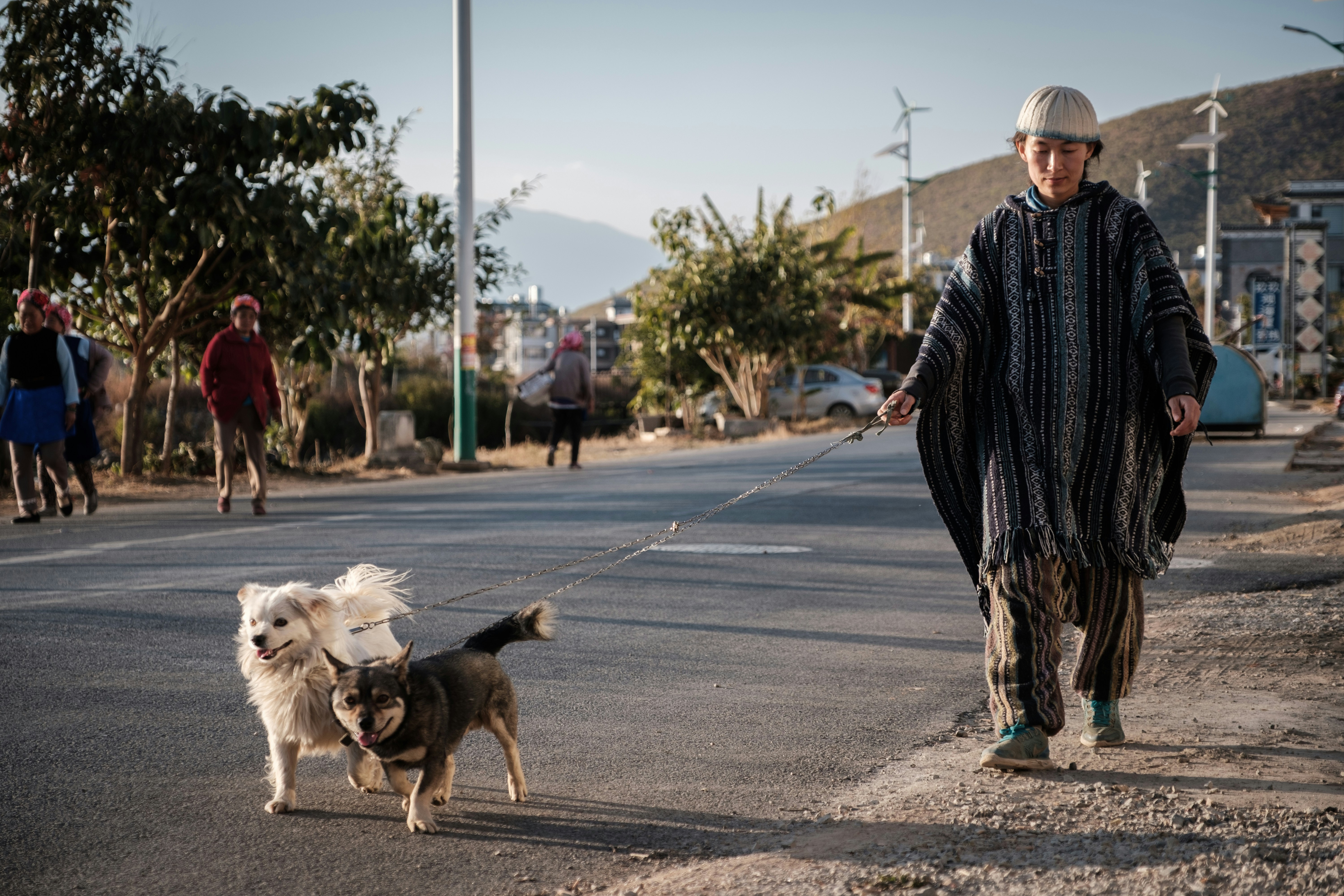 Frau in schwarz-weiß kariertem Mantel mit braunem Kurzmantel kleiner Hund auf der Straße während