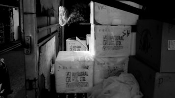 A black and white photograph depicting a stack of boxes inside a vehicle. The boxes are varying in size and appear to be made of cardboard and Styrofoam with some having printed labels. The scene is dimly lit, with shadows casting across the pile, creating an atmosphere of mystery or intrigue.
