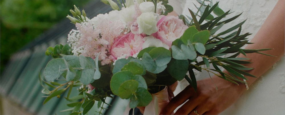 white and pink flower with green leaves