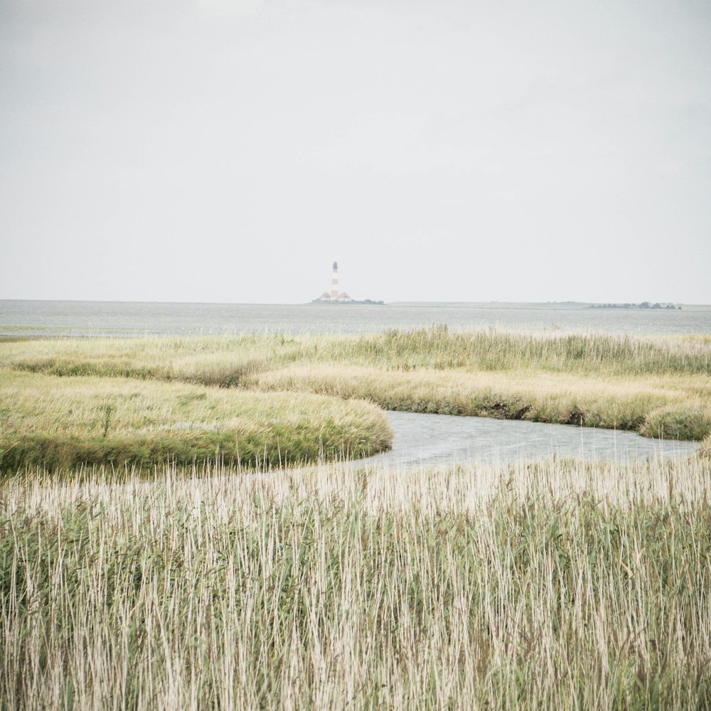 green grass field near body of water during daytime