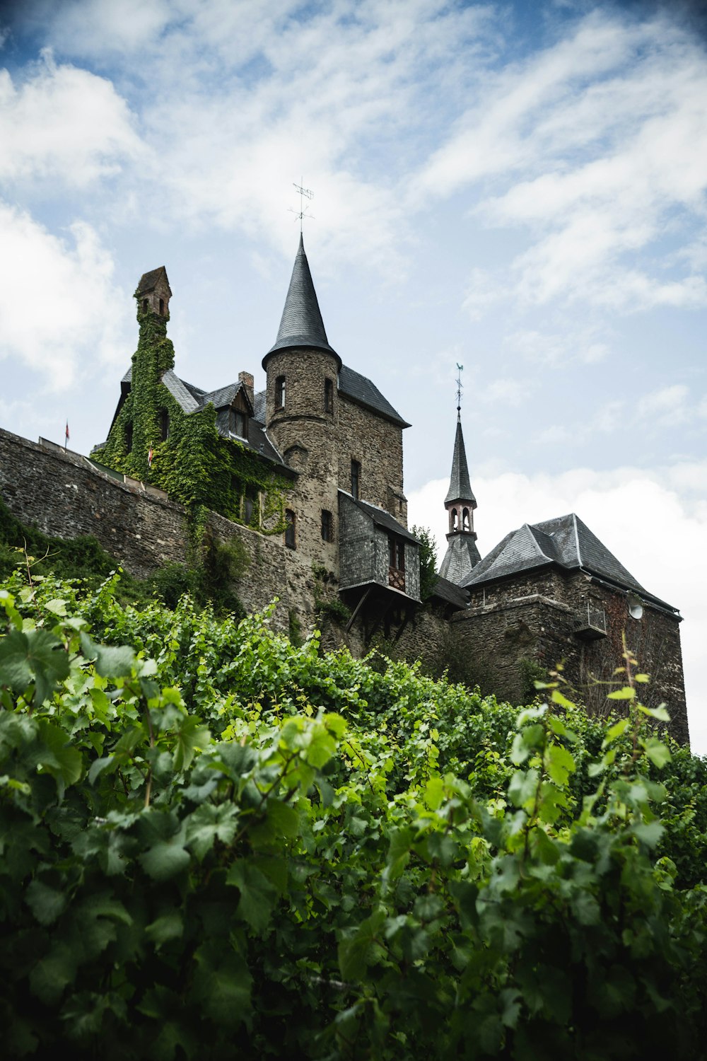 Grünpflanzen in der Nähe von braunem Betonschloss unter blauem Himmel tagsüber