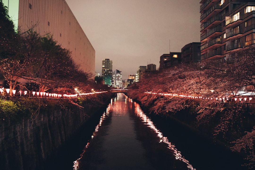 Landmark photo spot Meguro River Gotemba