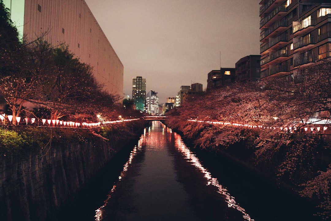 Landmark photo spot Meguro River Yokohama