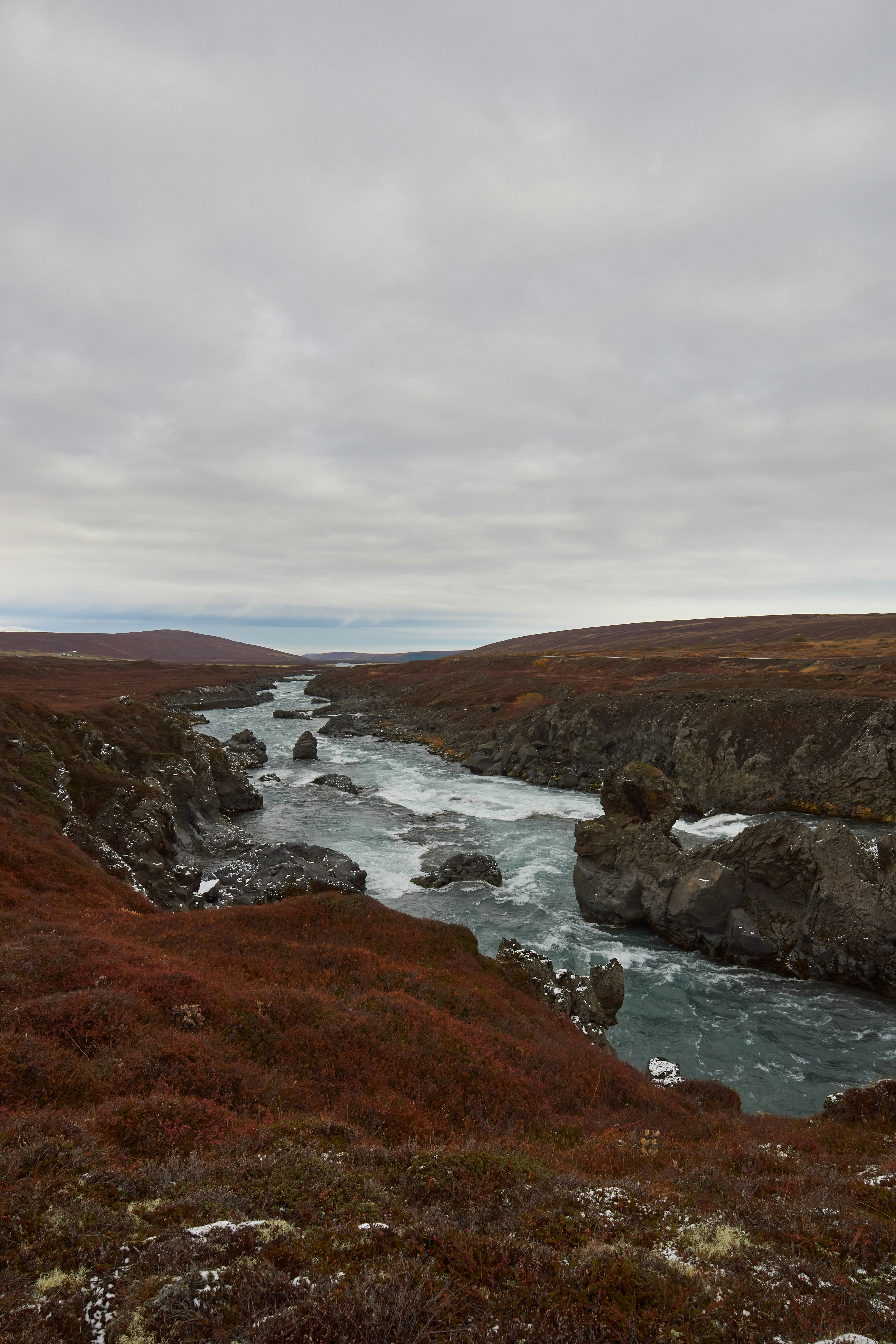 Photo by wolfgang_hasselmann