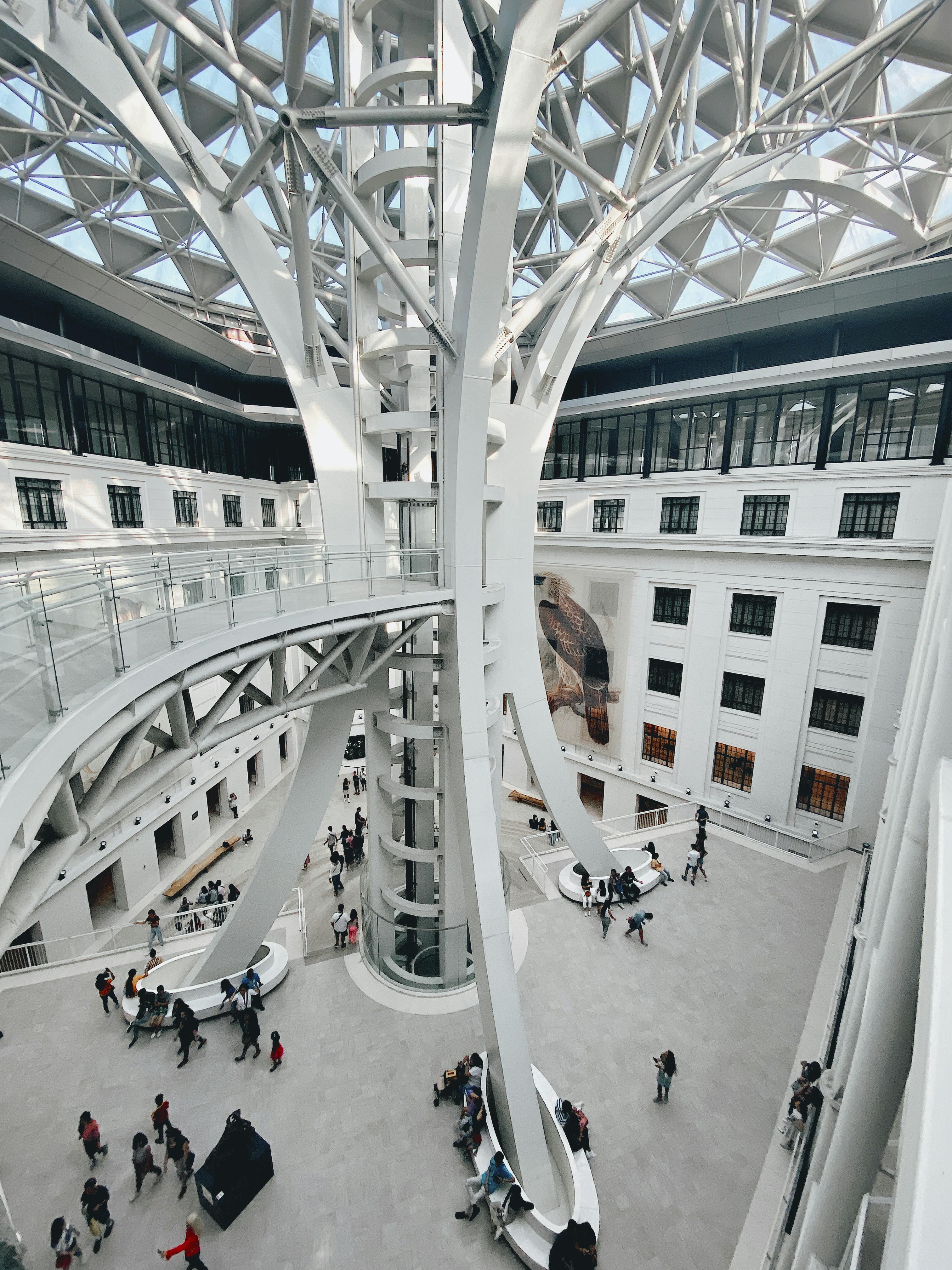 University medical facility modern atrium with natural light, bright open interior healthcare space