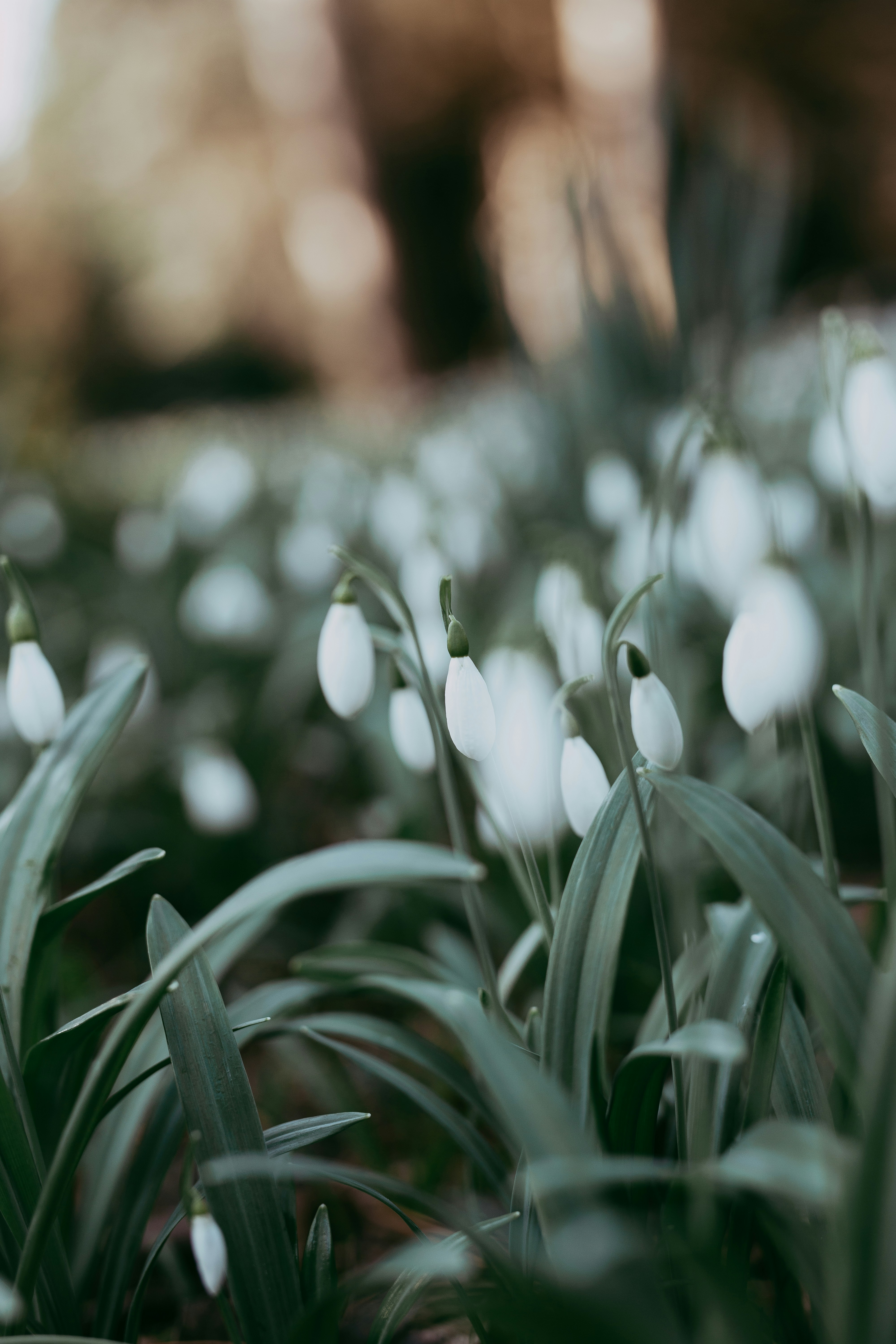 Photo by annabellalifestyle