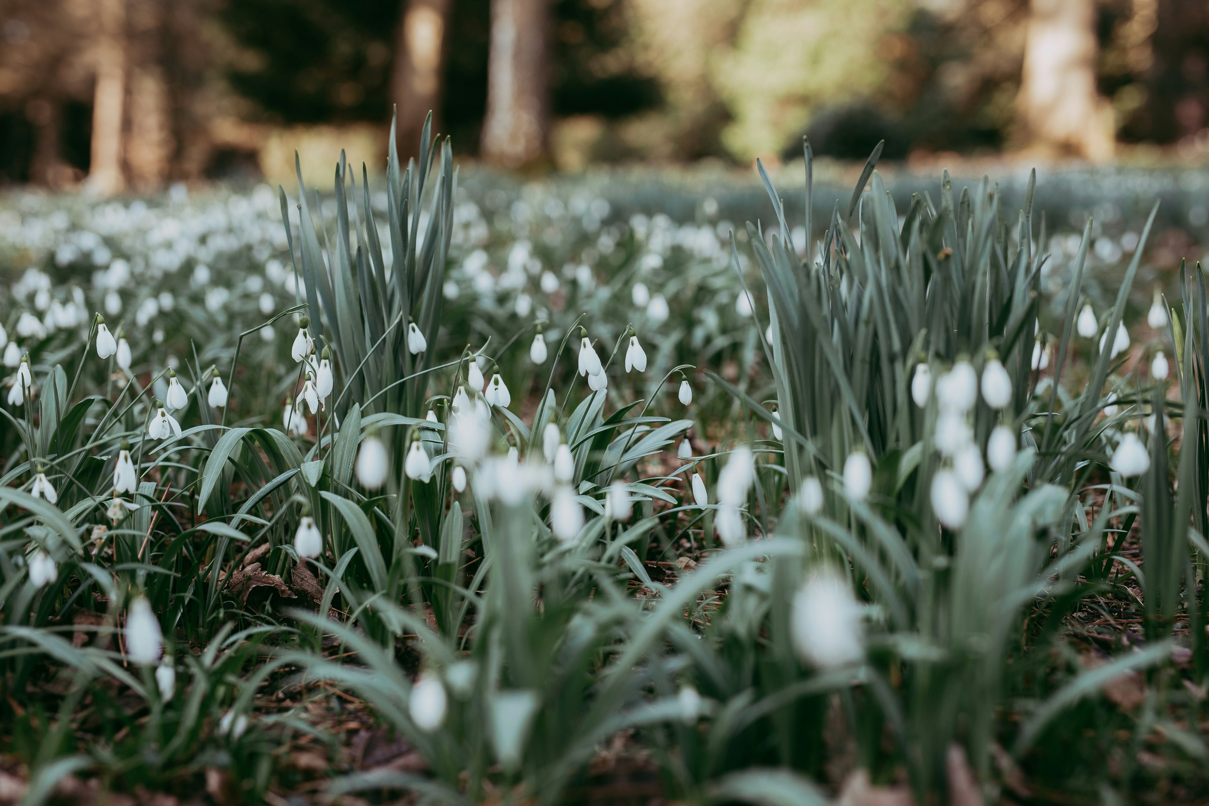 Photo by annabellalifestyle