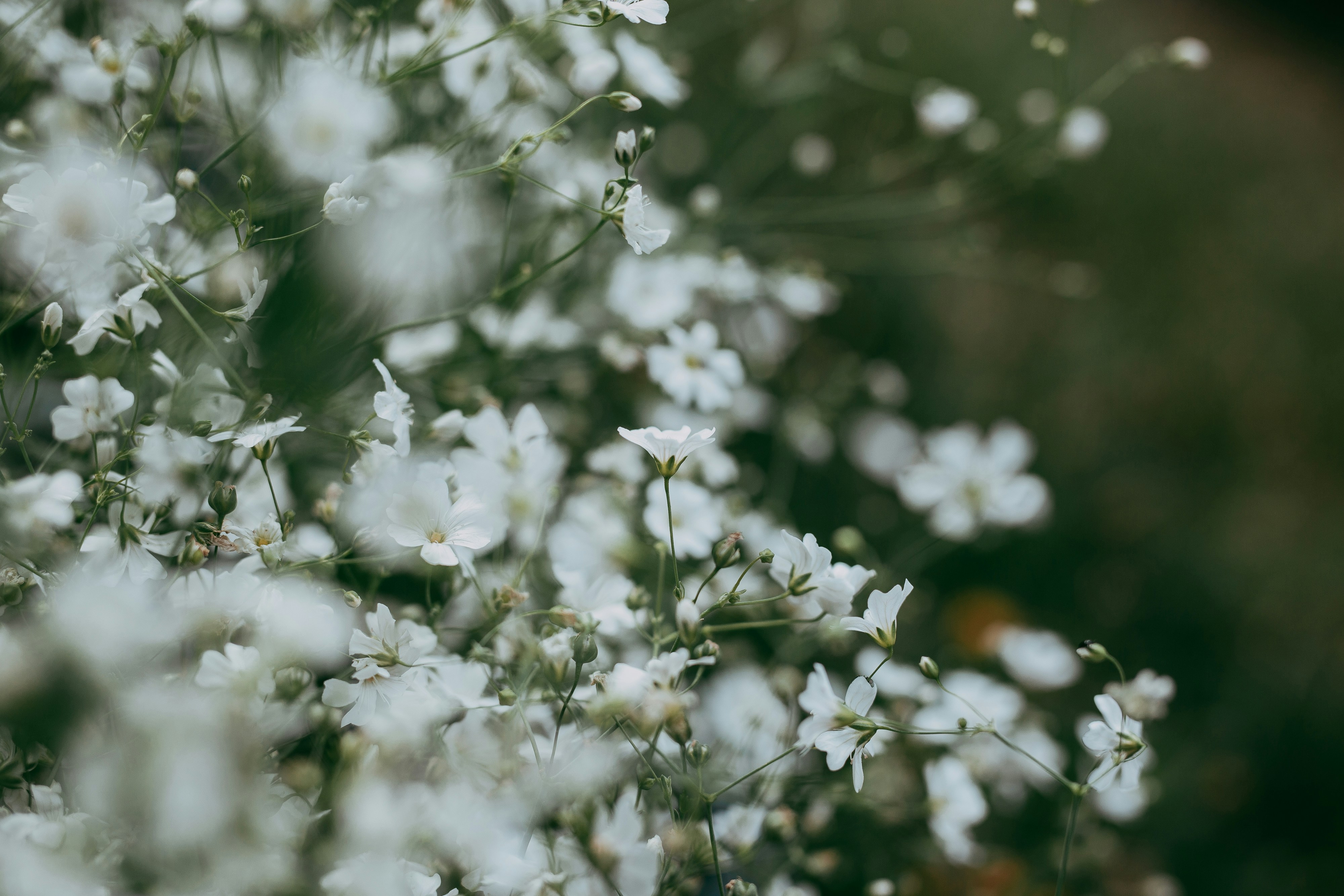 Photo by annabellalifestyle