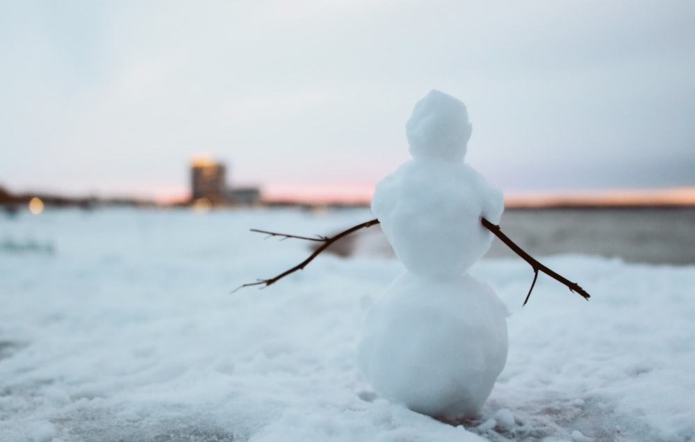 Schneebedeckter Ast tagsüber