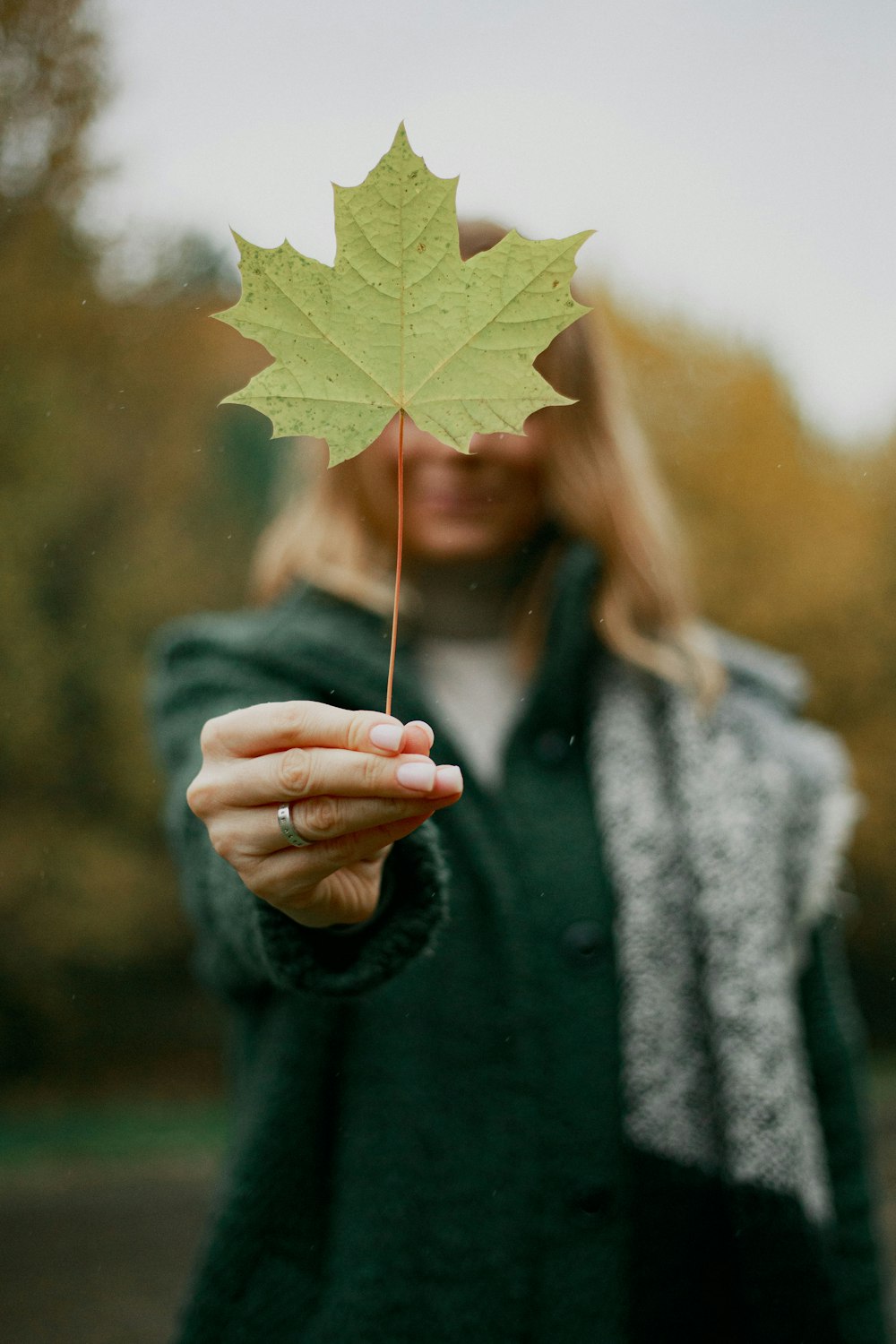 woman holding yellow maple leaf