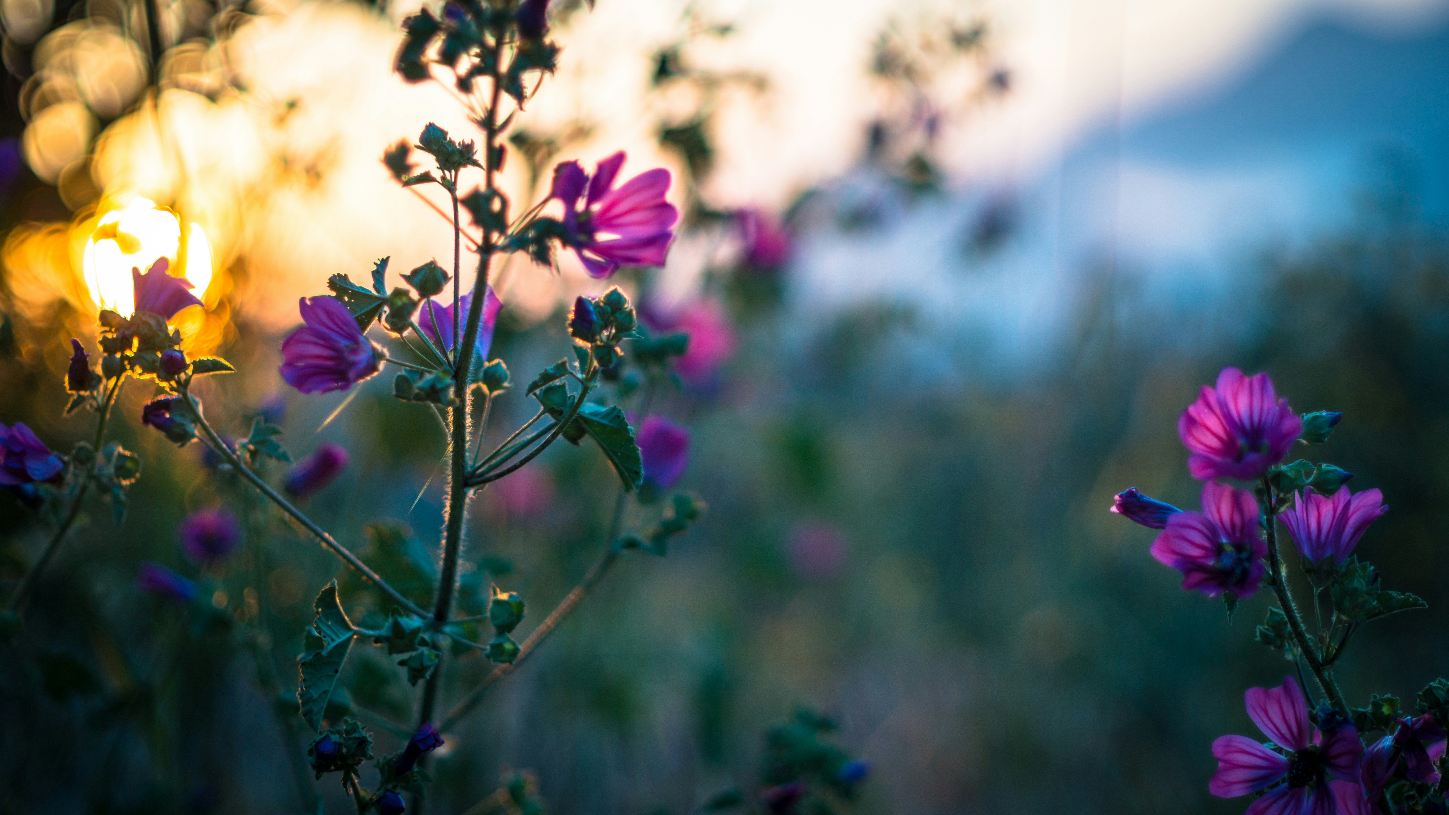 Photo by litschigraphie