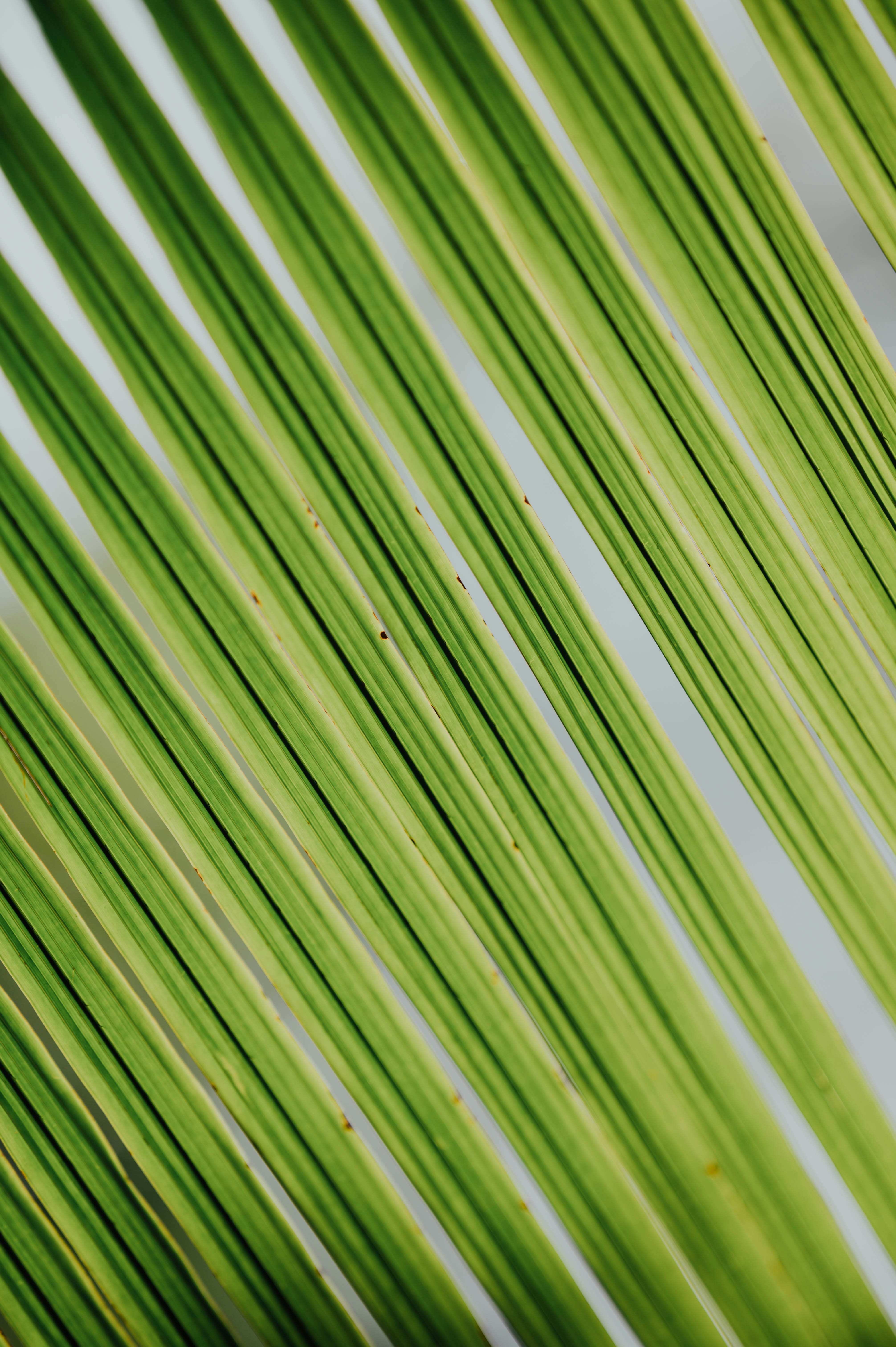 Photo by chuttersnap