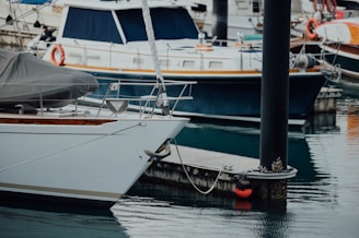 white and brown boat on water during daytime