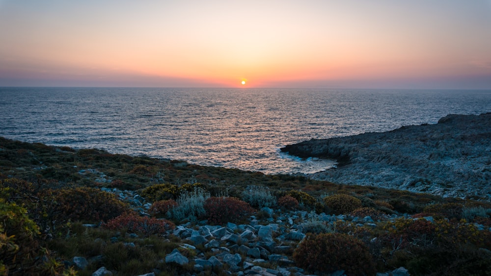 green and brown grass near body of water during sunset