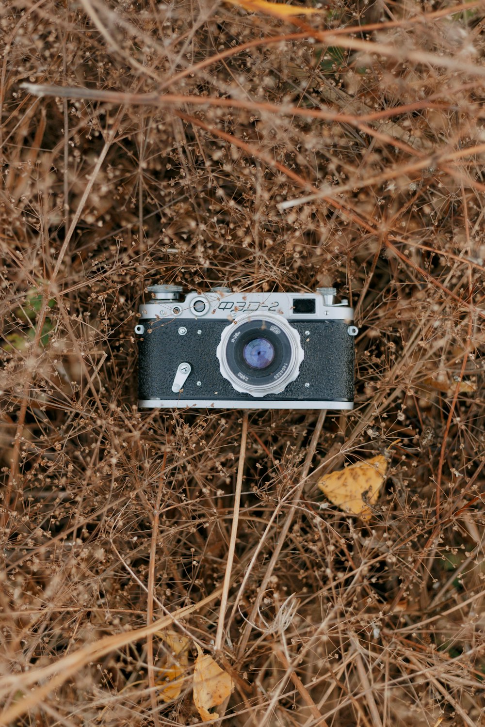 black and silver camera on brown dried leaves