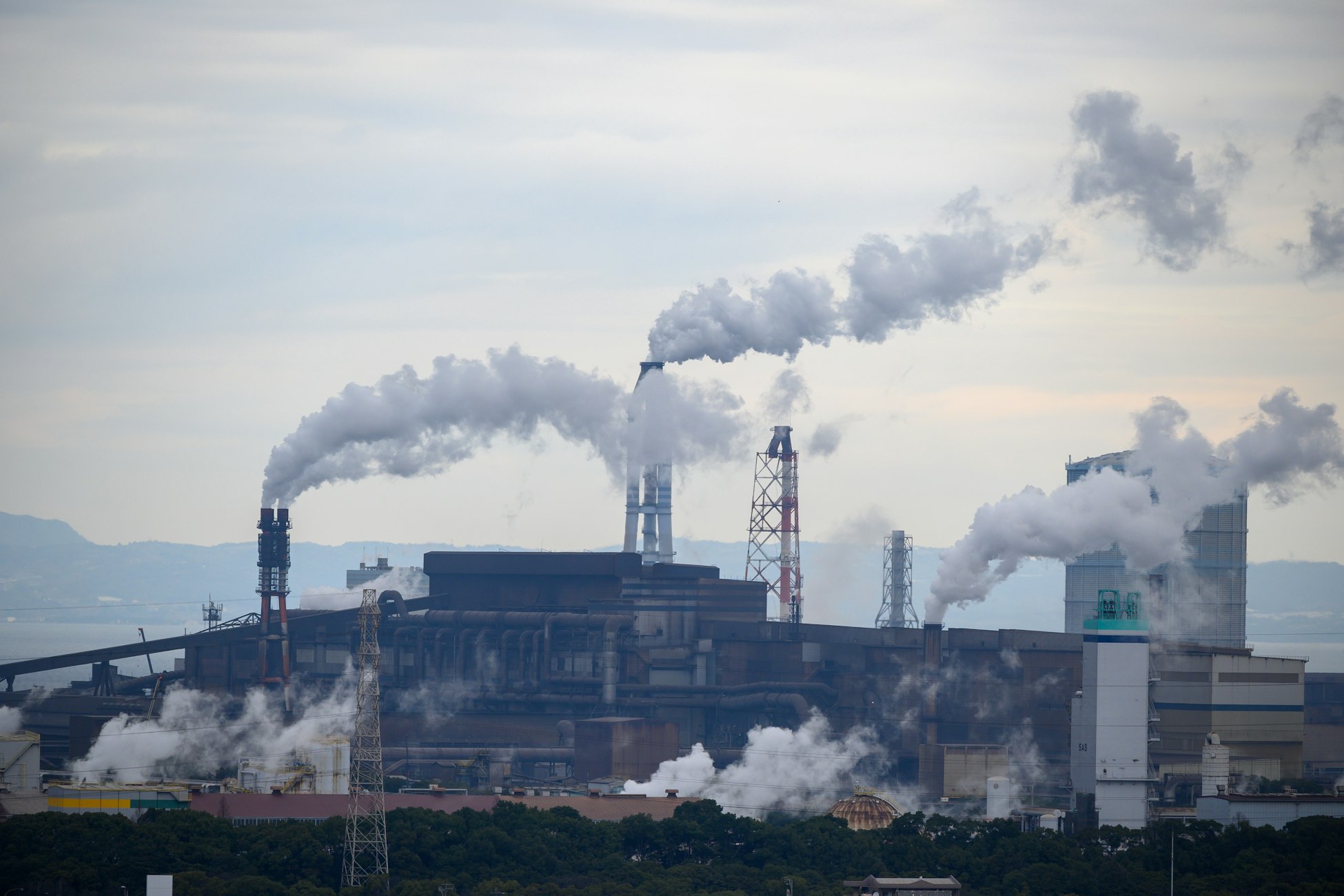 Pollution french leaving cert sample answer