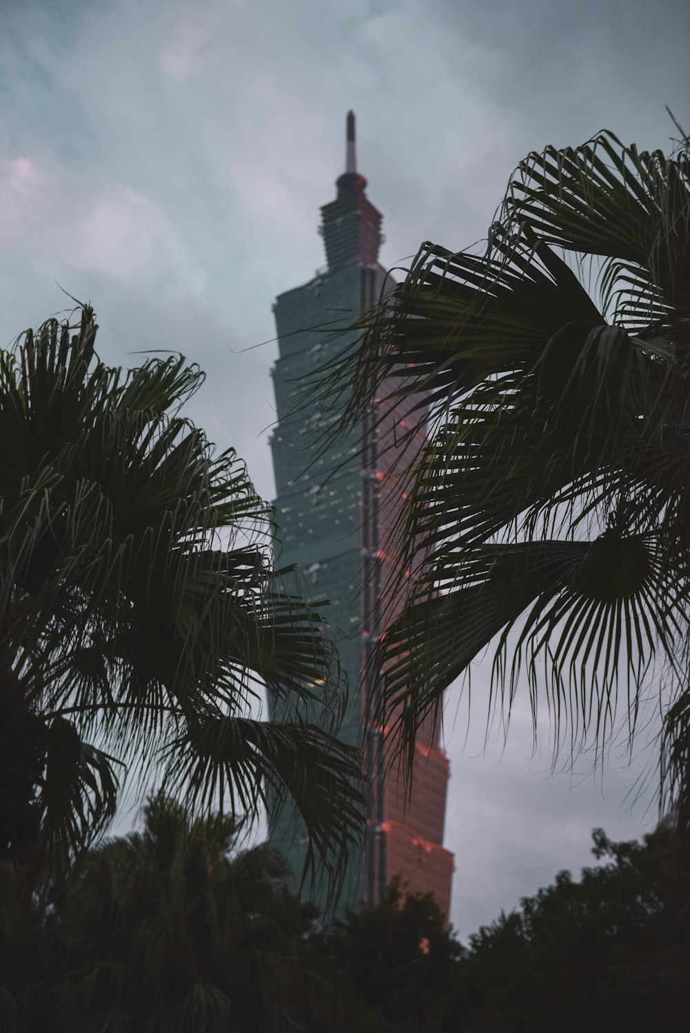 green palm tree under white clouds during daytime