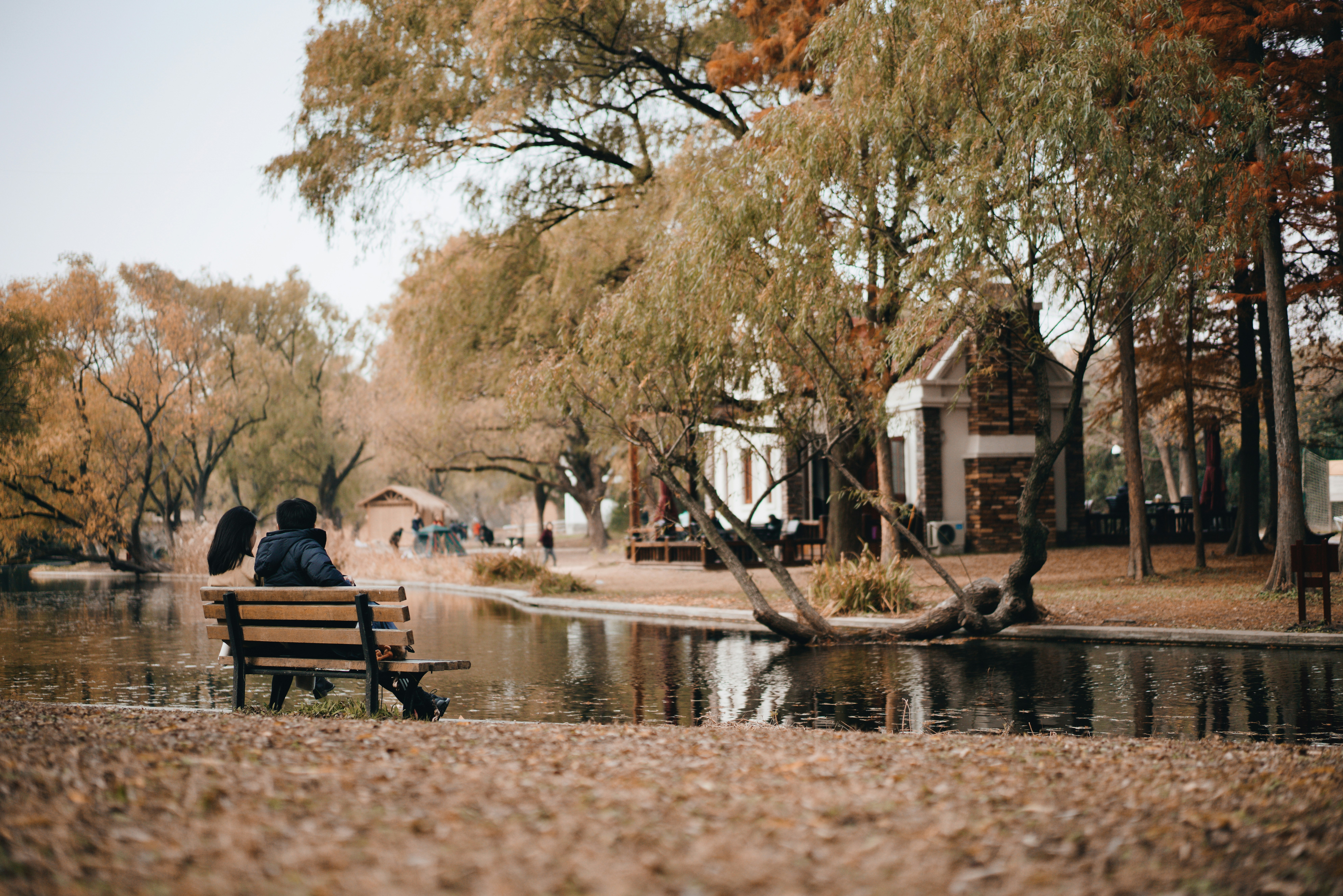 couple sitting on brown wooden bench near body of water during daytime