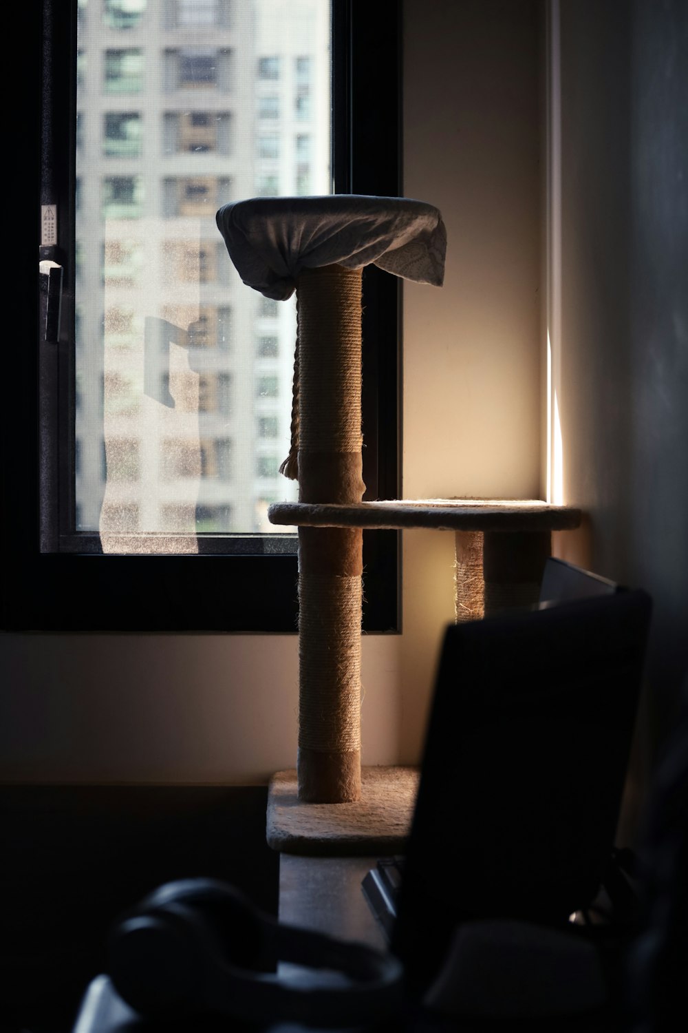 brown cat tree near window