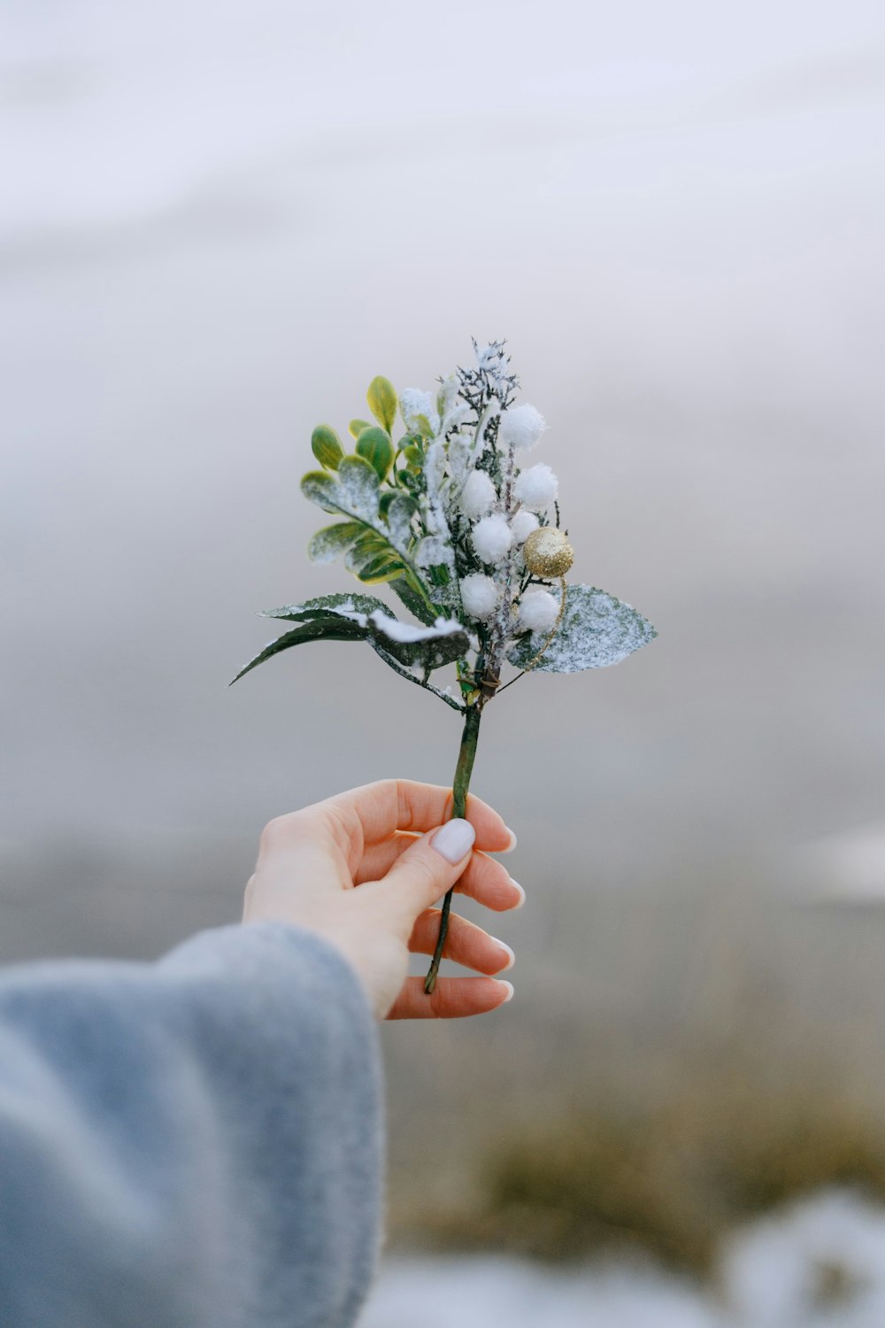 persona sosteniendo una flor blanca con hojas verdes