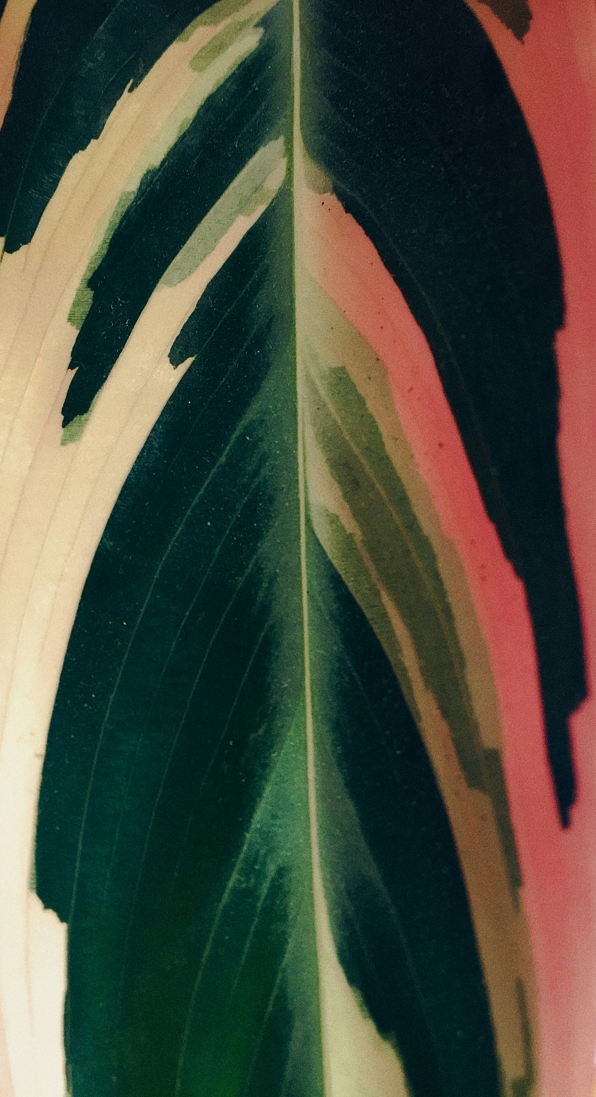 Photo by nastassia_ustyan