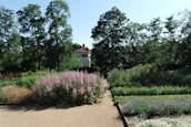 Peaceful garden path surrounded by blooming flowers and greenery at the family home.