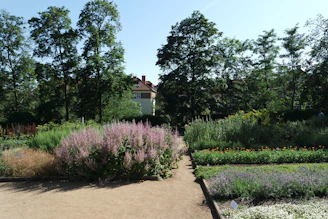 A winding stone path surrounded by neatly trimmed shrubs and blooming plants in a residential garden.