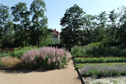 A winding stone path surrounded by neatly trimmed shrubs and blooming plants in a residential garden.