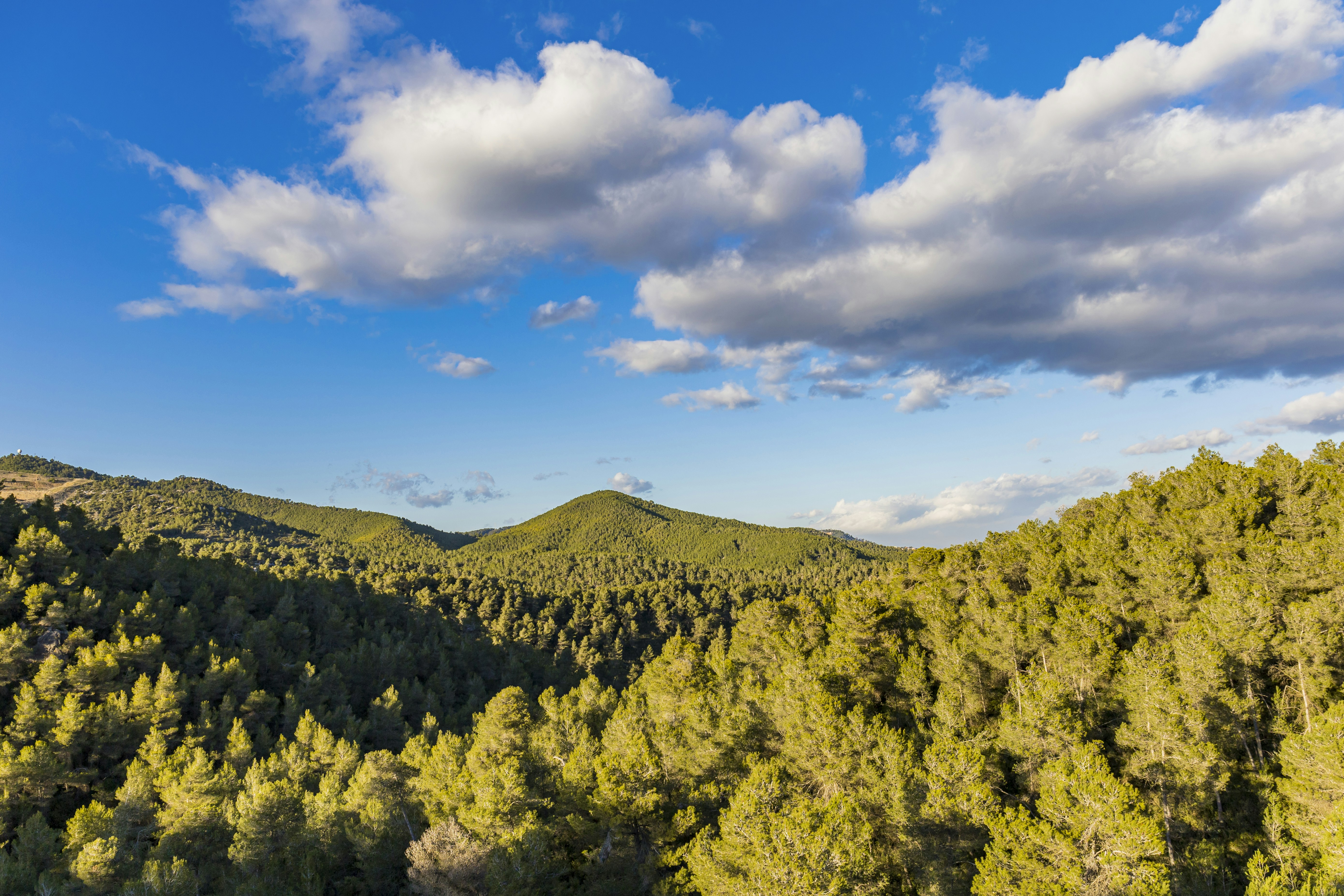 Photo by isaacquesada