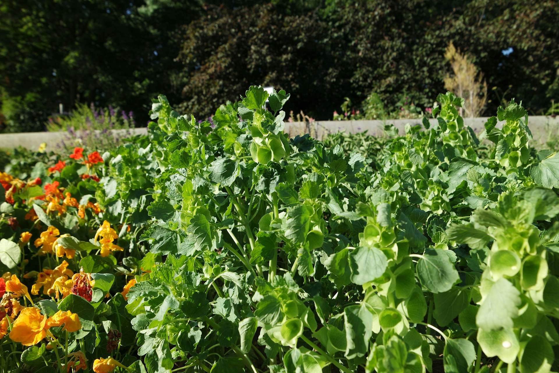 gray computer monitor