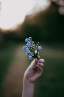 A hand holding a small bouquet of wildflowers against a soft background.