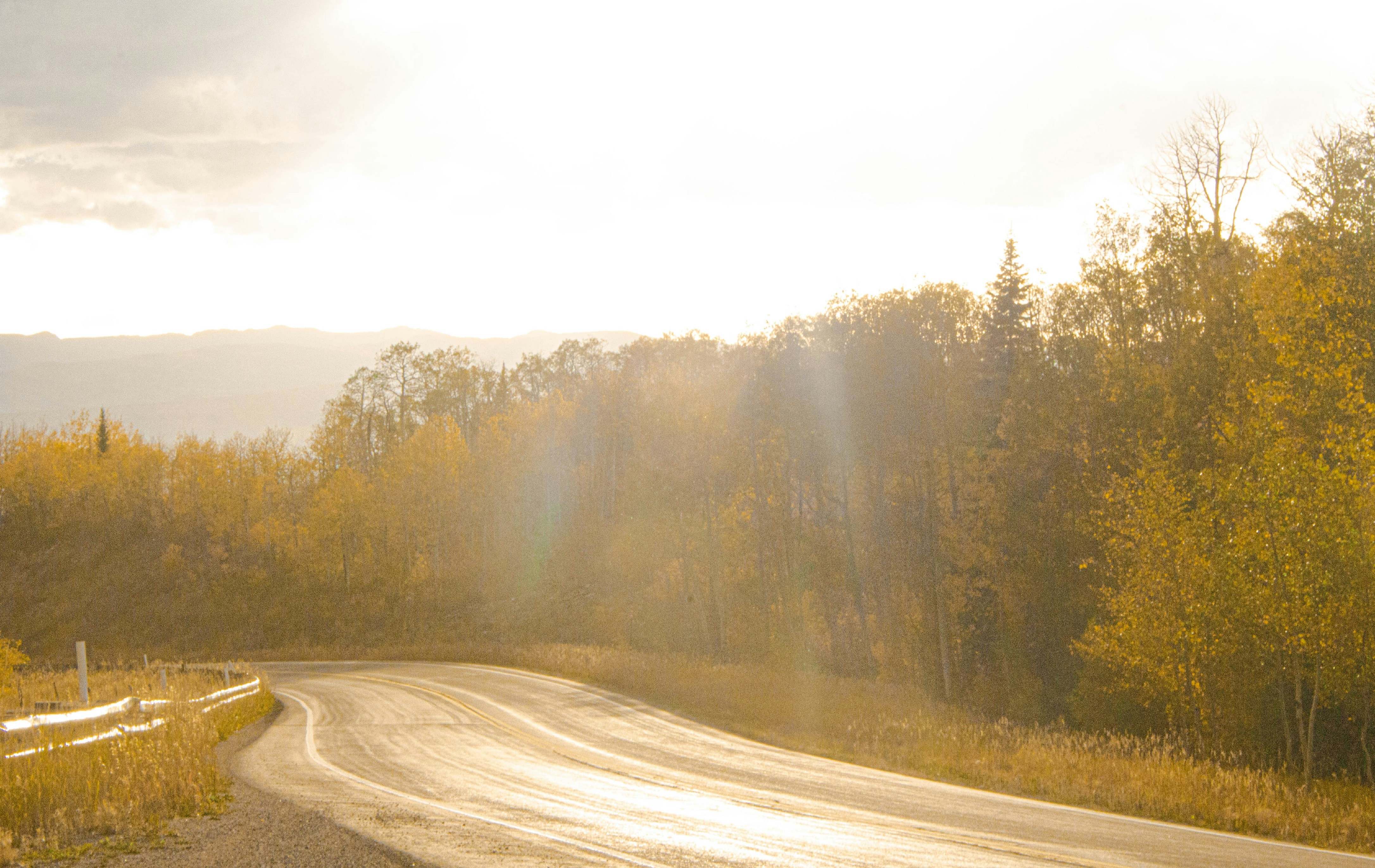 Photo by coldheartedcoldiron