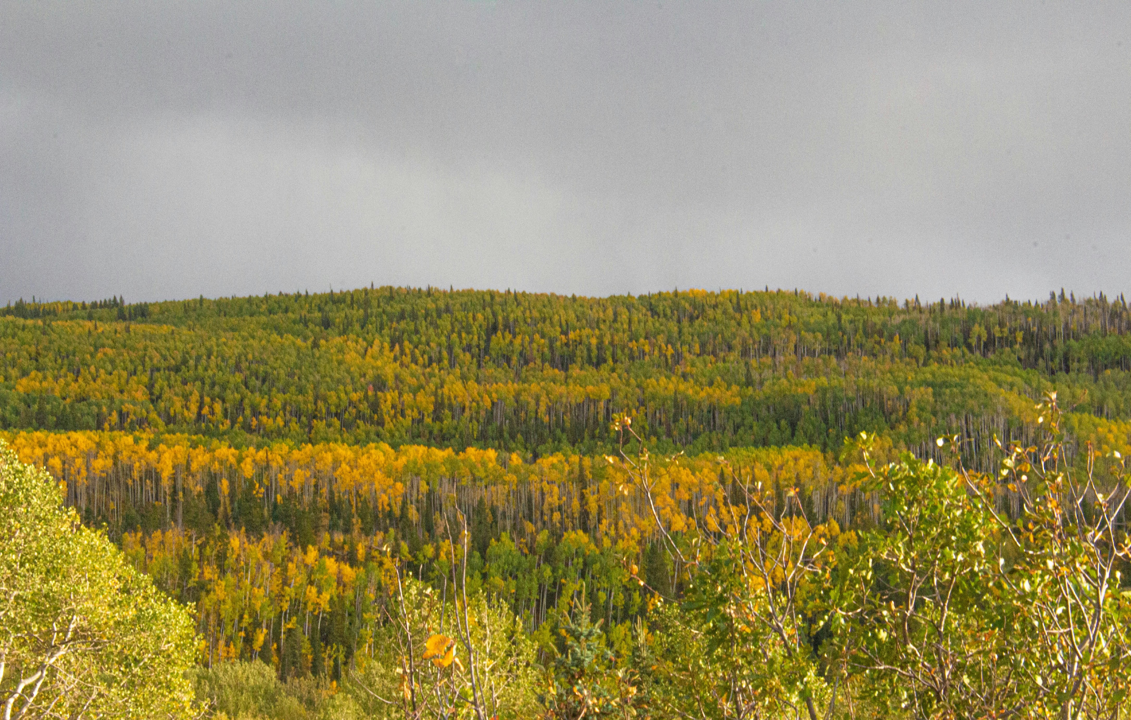 Photo by coldheartedcoldiron