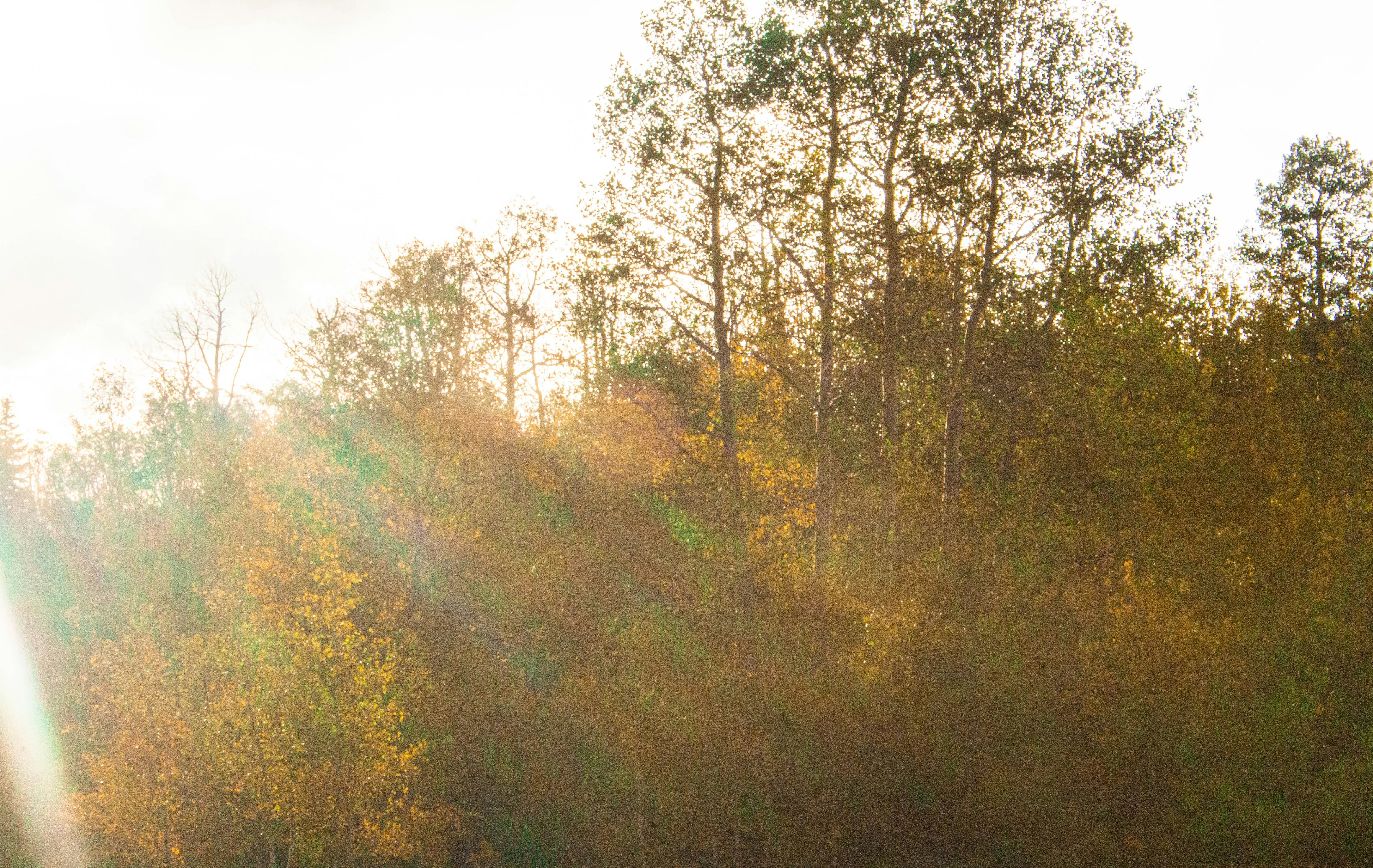 Photo by coldheartedcoldiron