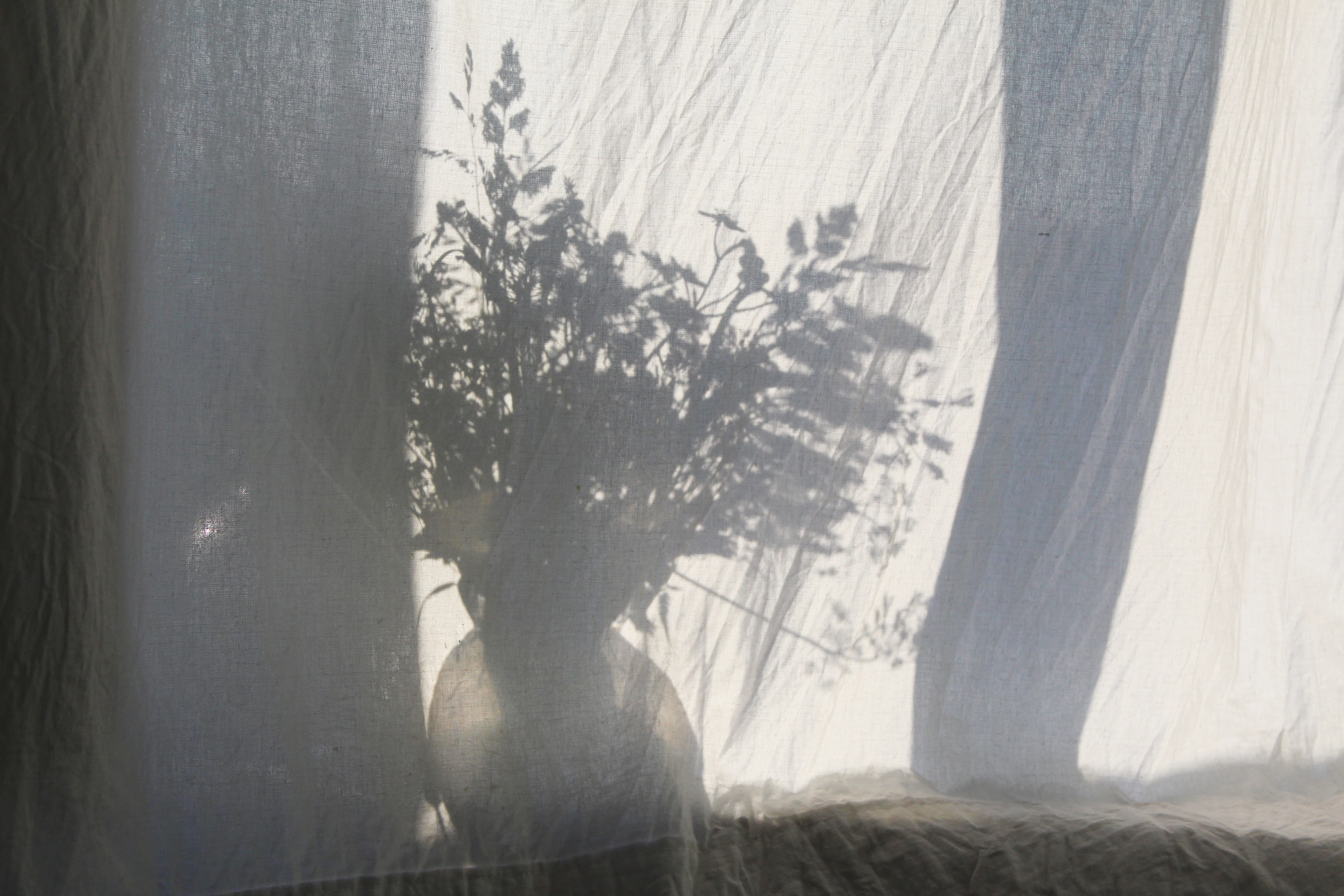 Silhouette of a vase of wildflowers seen through a sheer linen curtain in soft daylight
