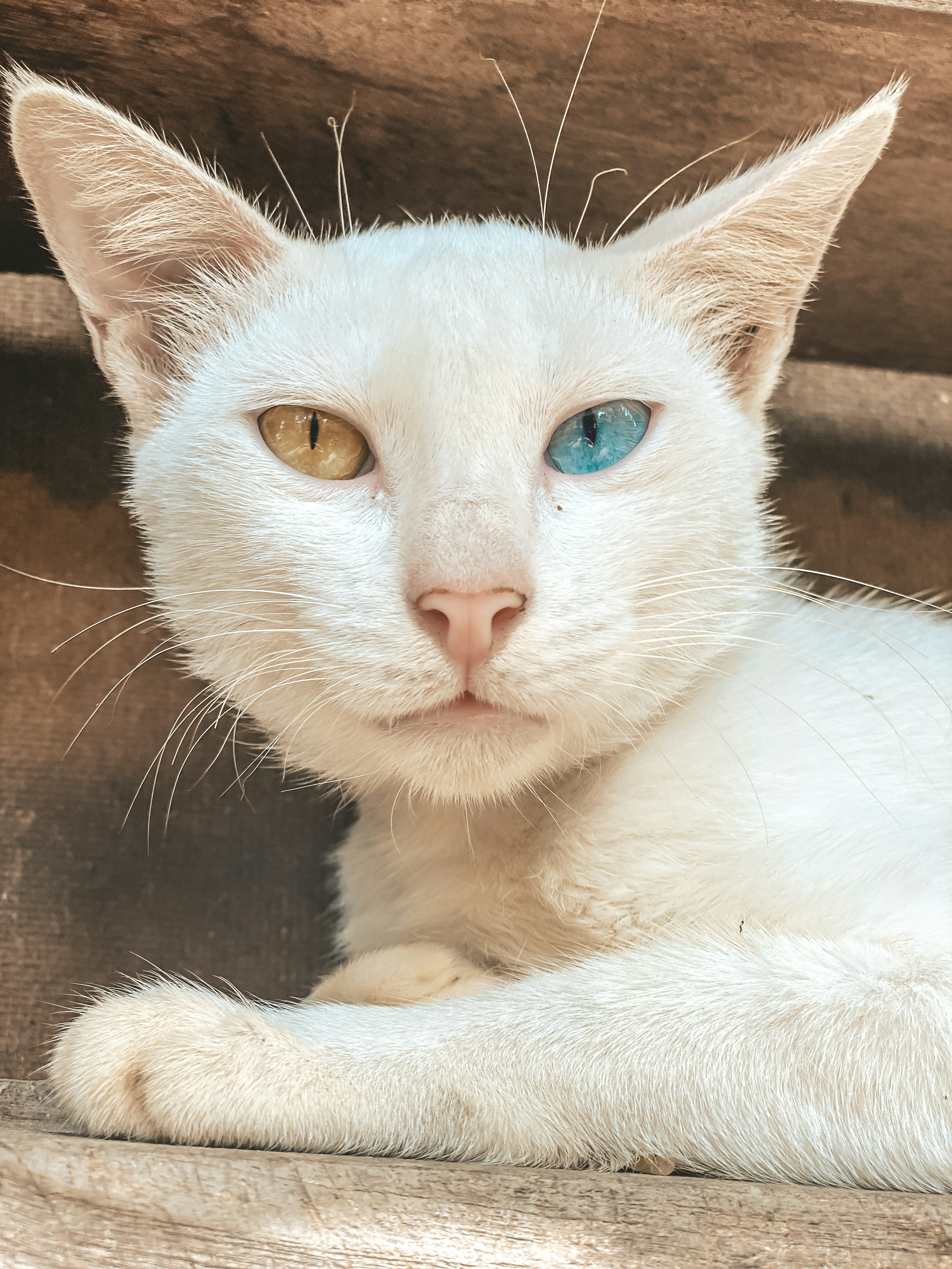 Photo by monkeydmykie