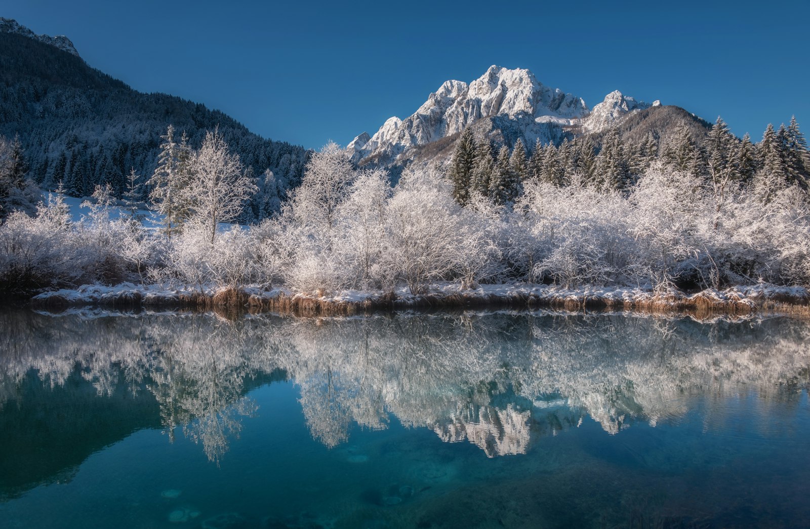 Nikon D810A sample photo. Body of water near photography