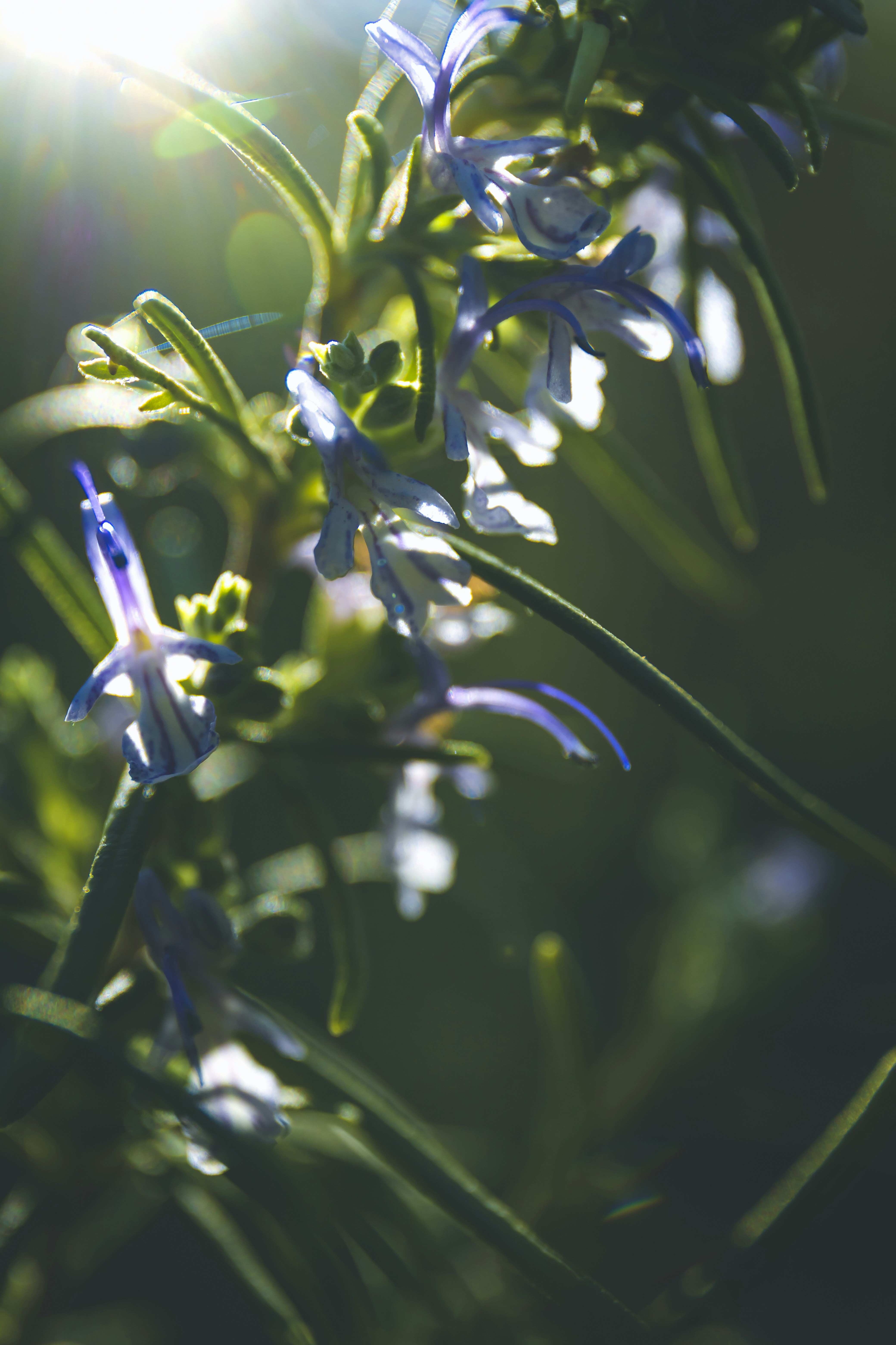 Photo by isaacquesada