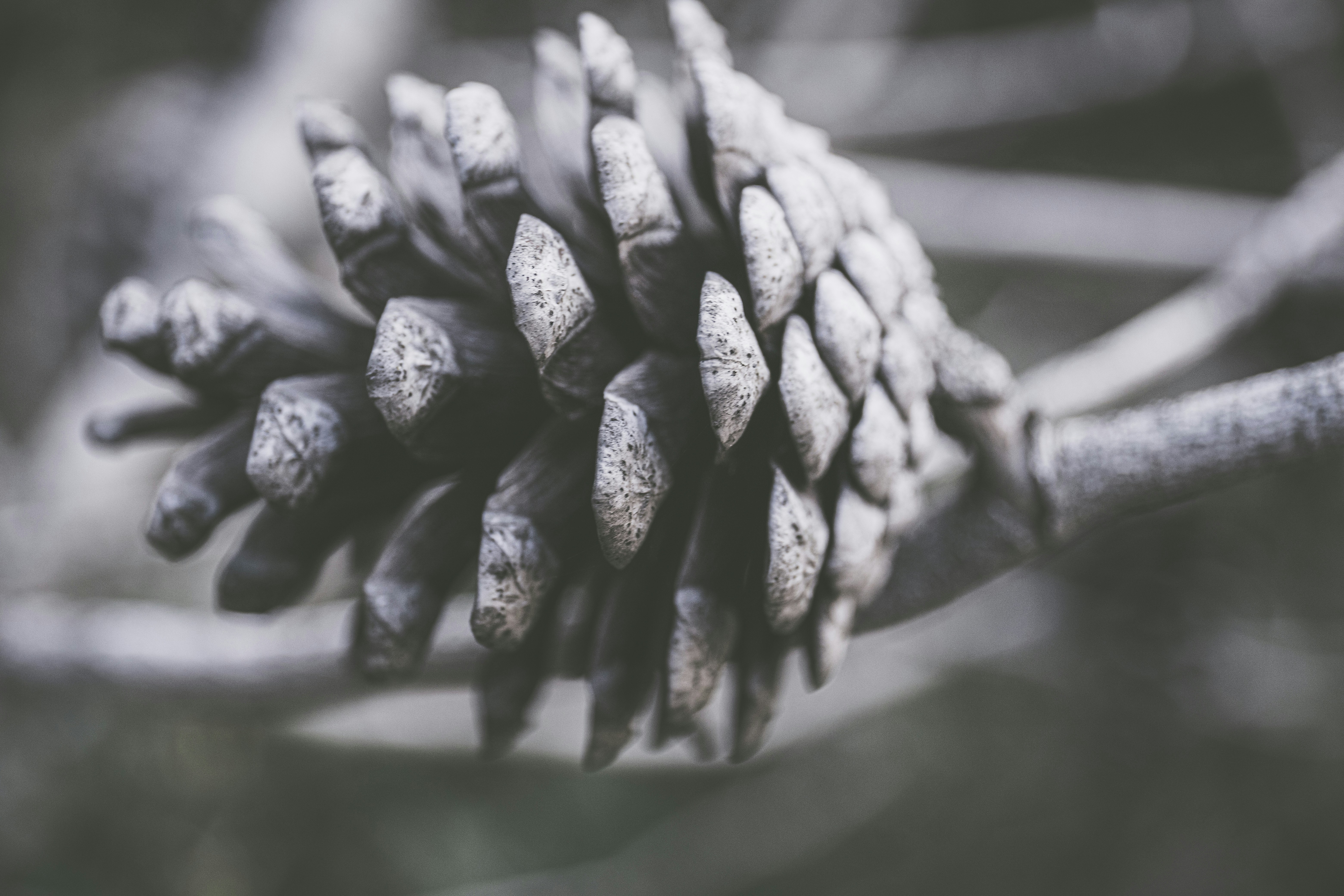 Photo by isaacquesada