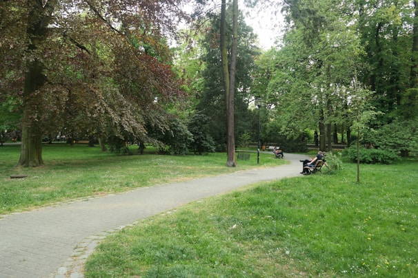 A serene park with lush greenery and walking paths.