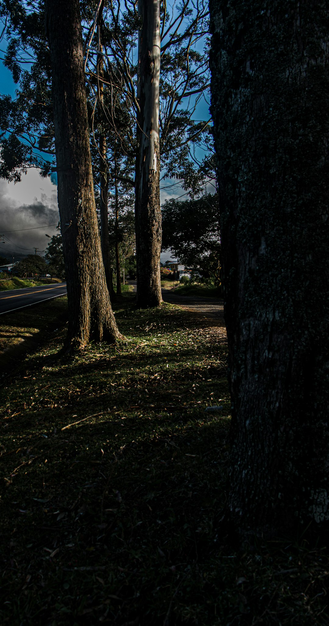 Forest photo spot Costa Rica Turrialba