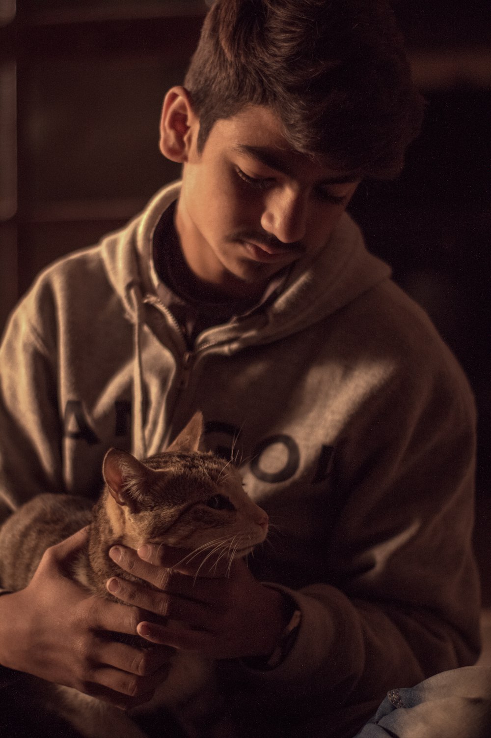 man in gray hoodie holding brown tabby cat