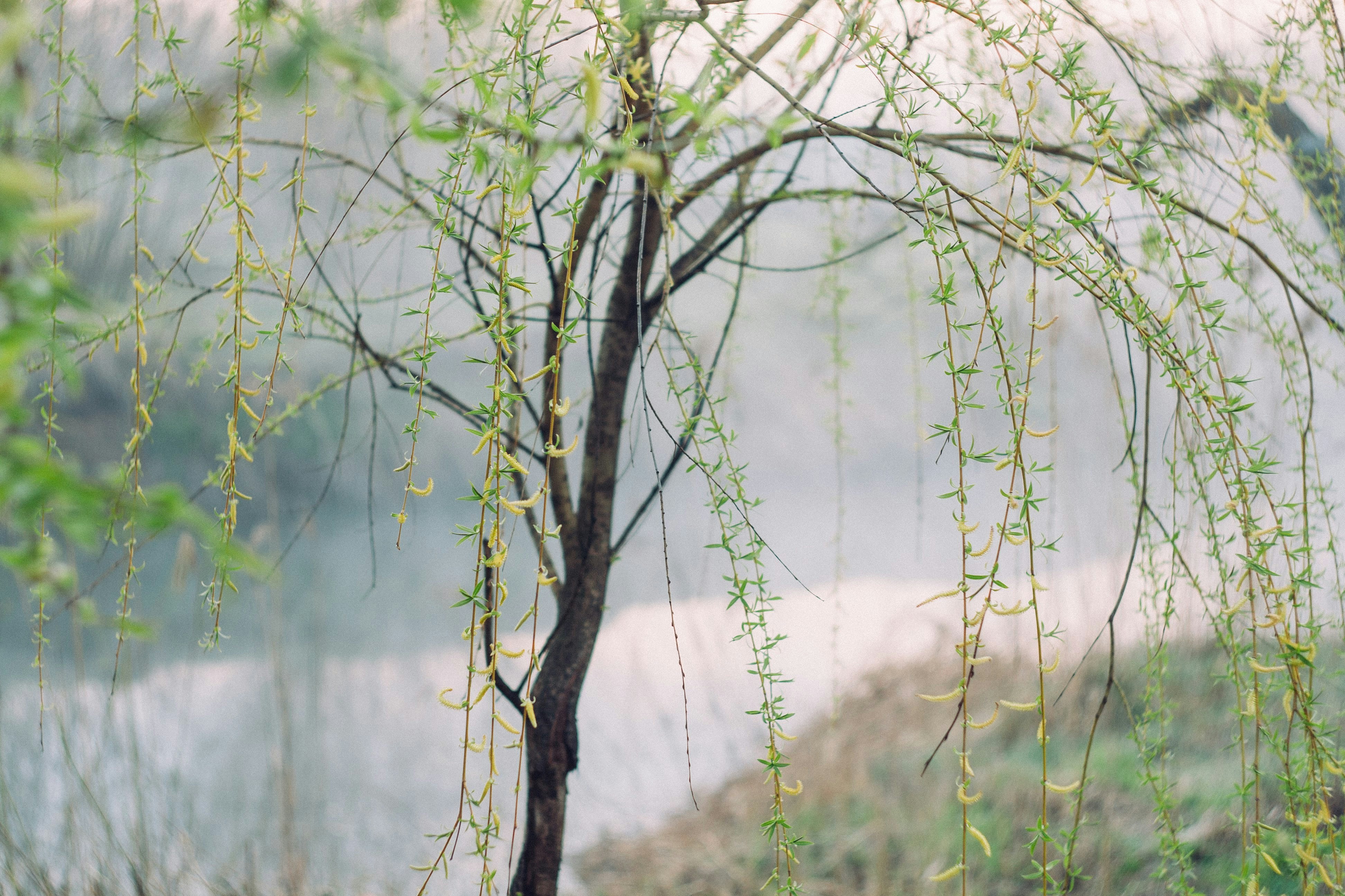 Photo by onmywayhome